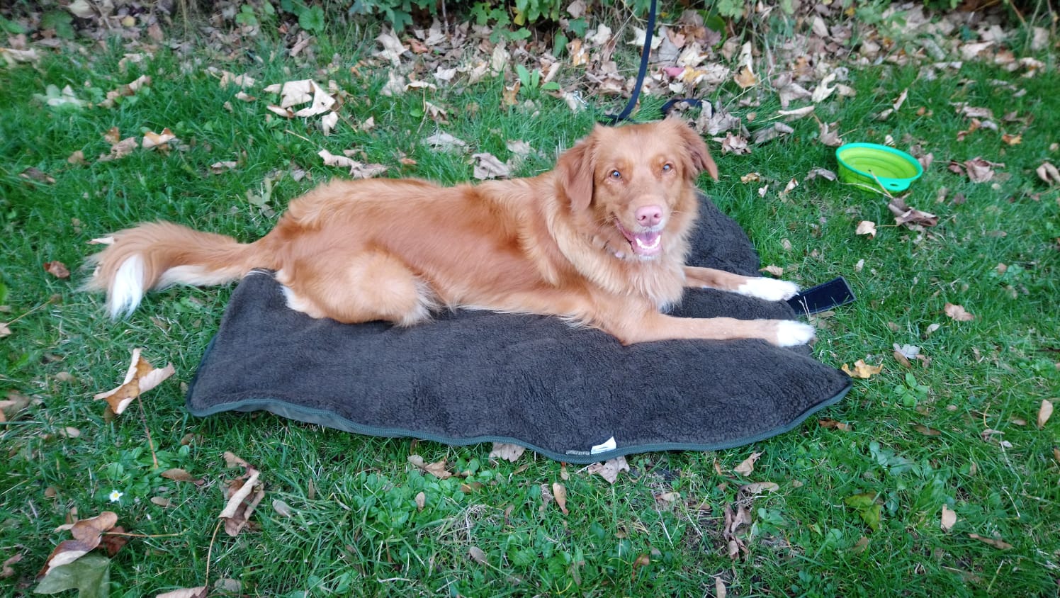 Hubertus Outdoor ISO Hundebett 100 x 70 cm