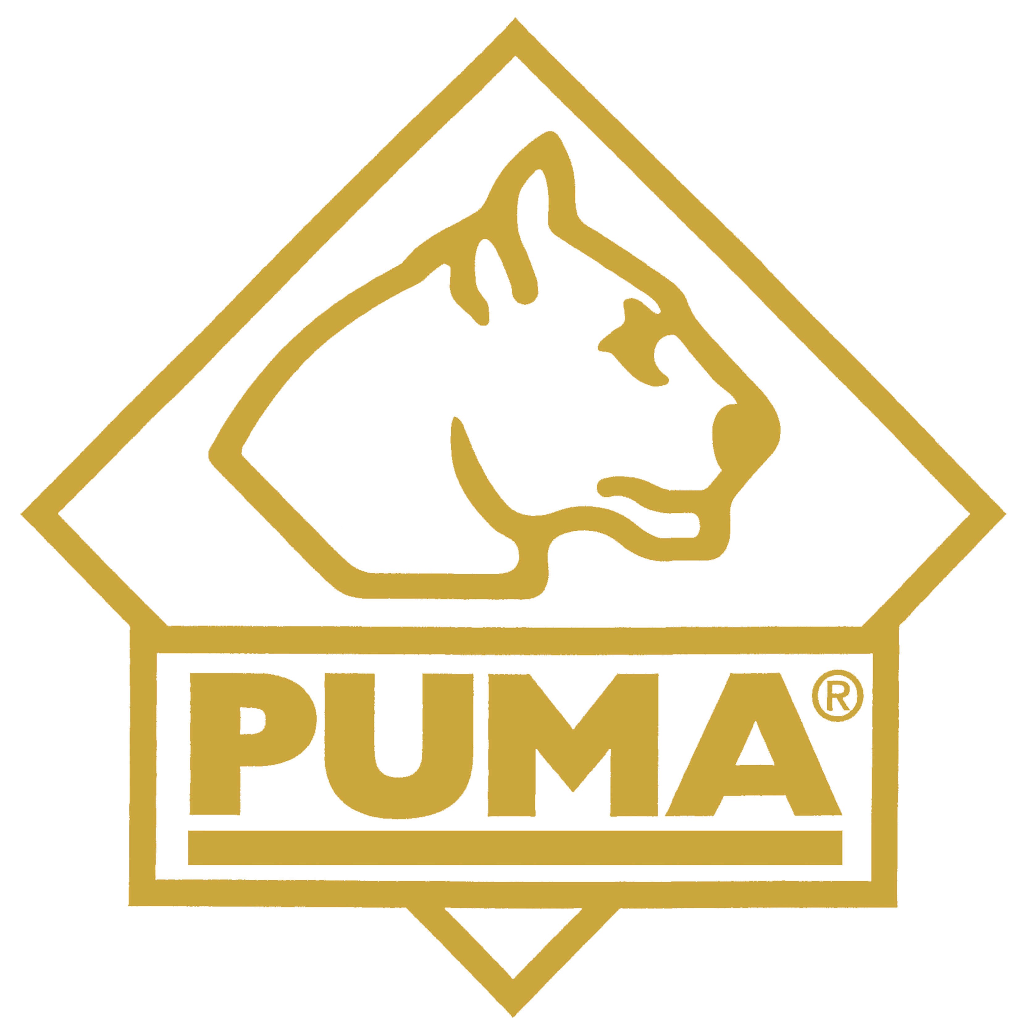 Puma IP Puma IP